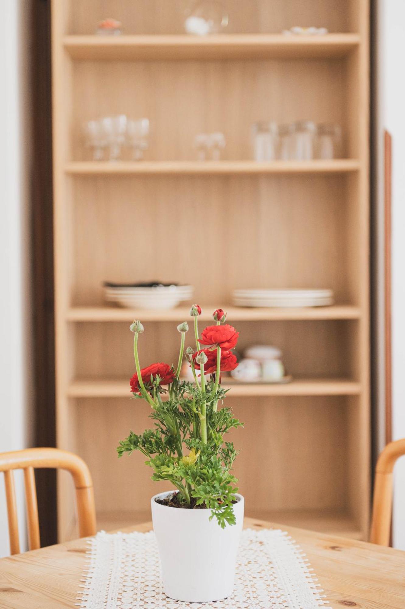 Pucare Apartments Трамонти Екстериор снимка